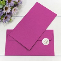 Конверт подарочный 16,9*9,4см 1004 1/10 1/250 Арт: 003010/4