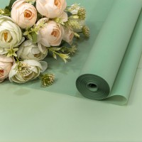 Плёнка 0,59*34м 900г матовая однотонная 55мкм Бледно-зелёный-558 1/6 1/12 Арт: 90057/558