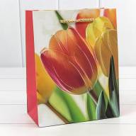 Пакет подарочный с блёстками "Тюльпаны" (микс 256) 18*23*10 210г 1/20 1/360 Арт: 000256E - Пакет подарочный с блёстками "Тюльпаны" (микс 256) 18*23*10 210г 1/20 1/360 Арт: 000256E
