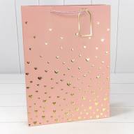 Пакет подарочный с тиснением "Сердечки" (микс 1) 31*42*12 210г 1/20 1/80 Арт: 000880A - Пакет подарочный с тиснением "Сердечки" (микс 1) 31*42*12 210г 1/20 1/80 Арт: 000880A