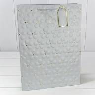 Пакет подарочный с тиснением "Цветочки" (микс) 31*42*12 210г 1/20 1/80 Арт: 000546A - Пакет подарочный с тиснением "Цветочки" (микс) 31*42*12 210г 1/20 1/80 Арт: 000546A