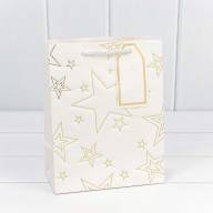 Пакет подарочный с тиснением "Звёзды" (микс) 18*23*10 210г 1/20 1/360 Арт: 300912E - Пакет подарочный с тиснением "Звёзды" (микс) 18*23*10 210г 1/20 1/360 Арт: 300912E