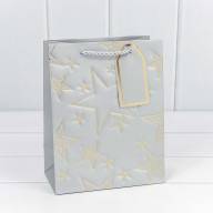 Пакет подарочный с тиснением "Звёзды" (микс) 18*23*10 210г 1/20 1/360 Арт: 300912E - Пакет подарочный с тиснением "Звёзды" (микс) 18*23*10 210г 1/20 1/360 Арт: 300912E