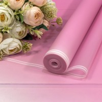 Плёнка 59см 800г матовая с двойной белой полосой 55мкм Светло-пурпурный 1/6 1/12 Арт: 80024/673